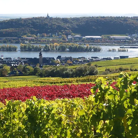 Szálloda Ringhotel Rüdesheim am Rhein