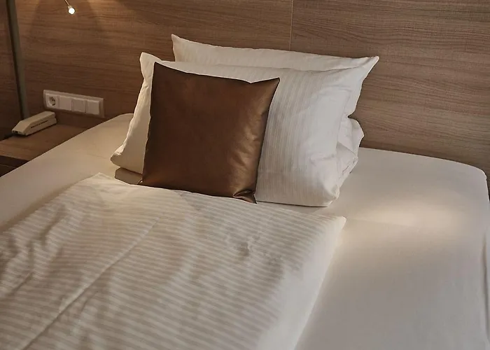 Ringhotel 吕德斯海姆